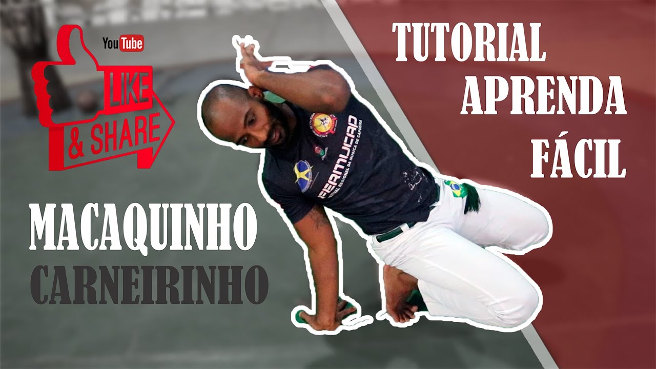 APRENDA FÁCIL CARNEIRINHO | MACAQUINHO