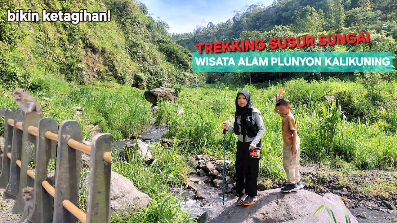 Trekking Susur Sungai di Wisata Alam Plunyon Kalikuning, Kaliurang Yogyakarta, Anak Pasti Happy!