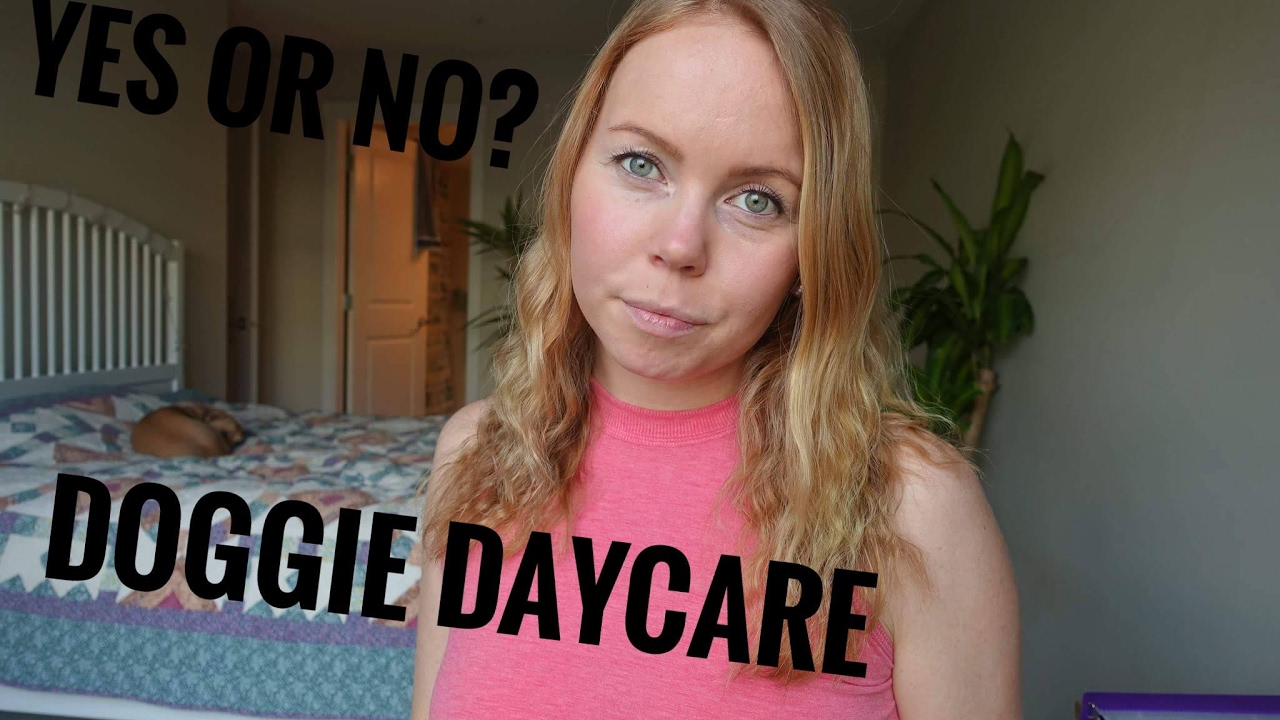 Should You Take Your Dog To Daycare? YouTube