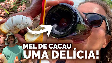 Como fazer o mel de cacau?