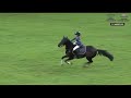 Mickybo and orla duffy win 128cm pony championship at dublin horse show