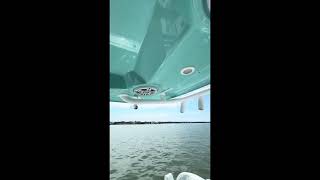 2024 Sportsman 262 open walk through