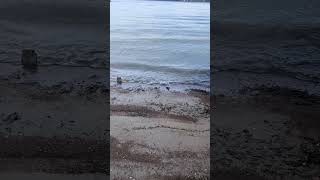 Calm Waves Gently Reaching the Shore Sit quietly by the water and watch small waves softly reach the
