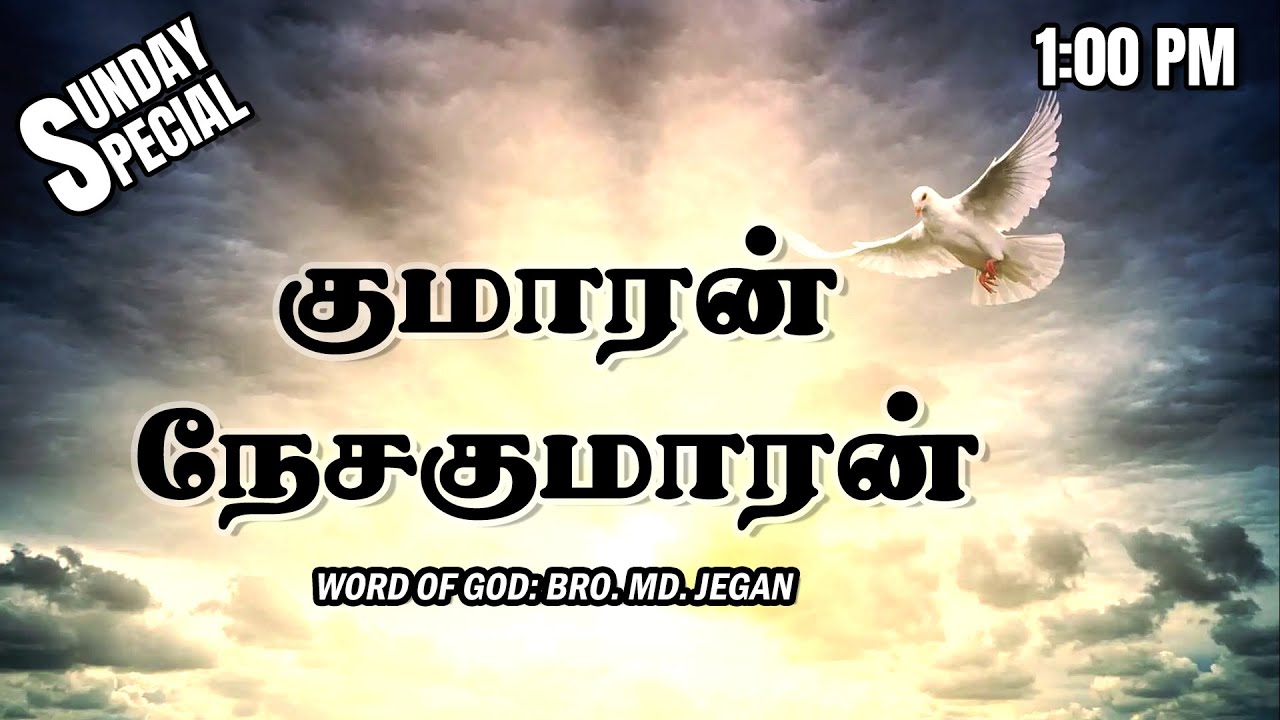SUNDAY SPECIAL || குமாரன் நேசகுமாரன் || BRO.MD JEGAN || 19.11.2023
