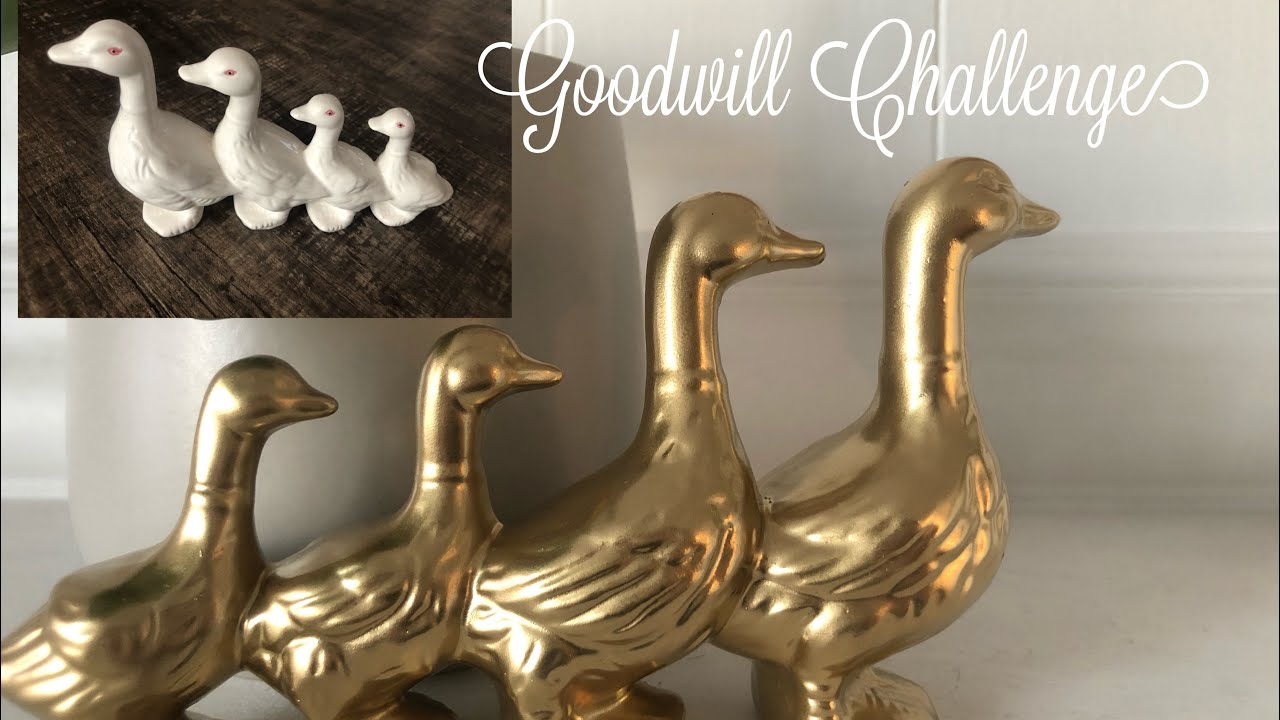 $5 Goodwill Challenge| Spring 2020 edition