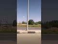 ياشبيه الورد من بين الزهر