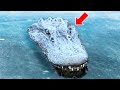 Man Finds Crocodile Stranded in Frozen Lake – Quickly Regrets Helping Him