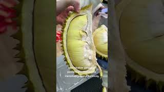 STOP🖐 "Makan Buah Durian Secara Berlebihan" Ini Dampak Negatif