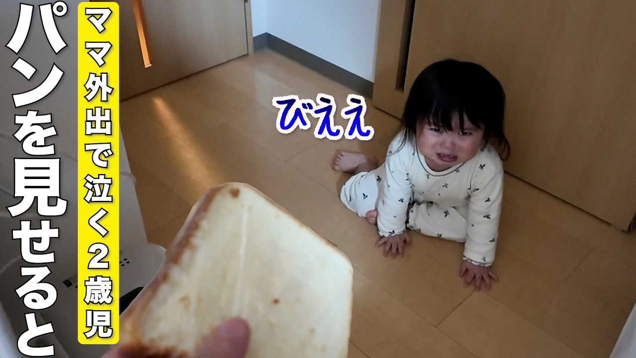 ママが帰ってきた瞬間に寂しかったことを思い出す2歳児と柴犬が可愛すぎました笑