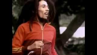 Iron Lion Zion - Bob Marley (HQ)