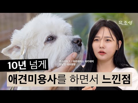 애견미용사 현실.. 폭풍 공감되는 애견미용의 장단점🥺 ⎜ 흑조 인사이트 clip.6