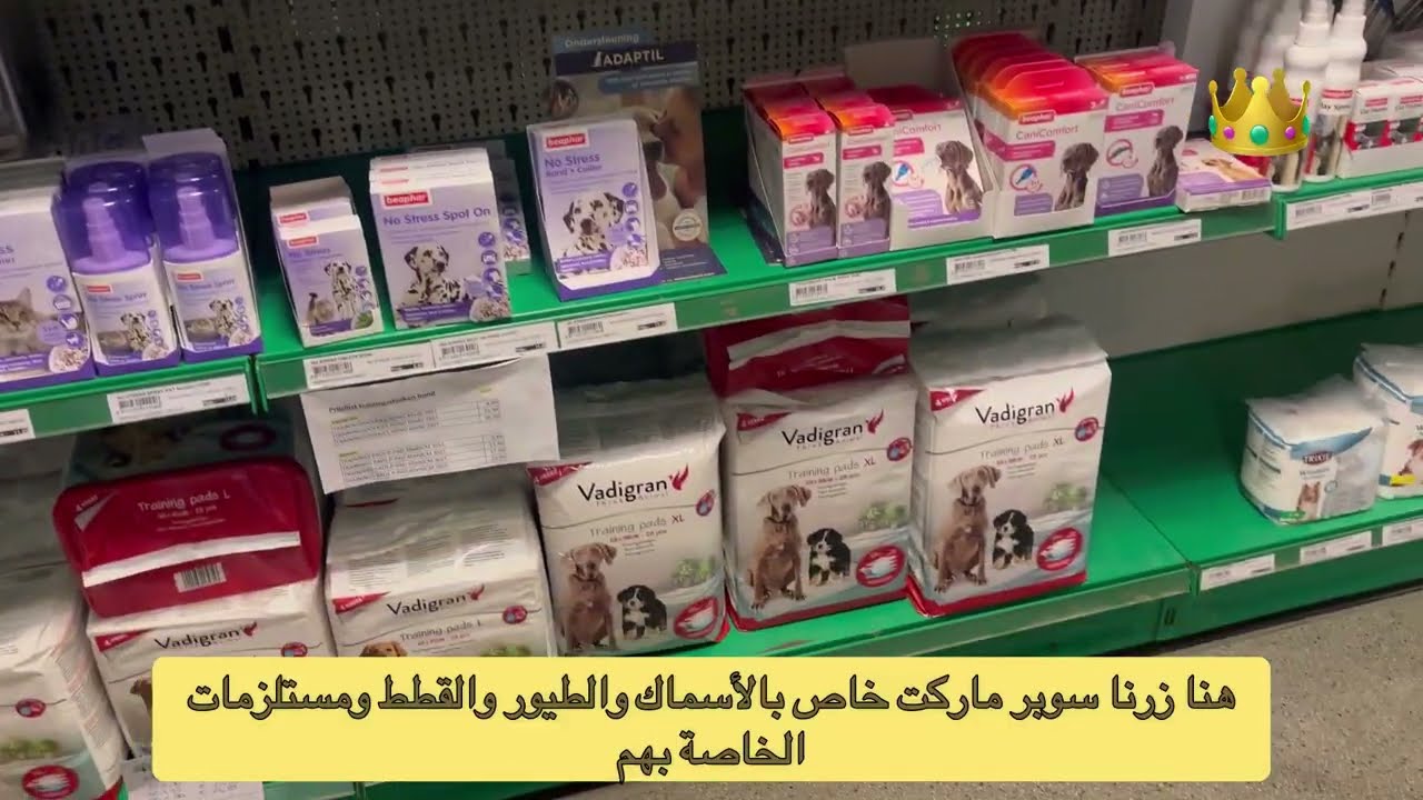 يوميات السمان/ تنظيف بيت السمان/اخبار بلجيكا/تجوالنابسوبرماركت لبيع الأسماك والطيور في انتويرب  