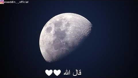 قال تعالى:  كتاب أنزلناه إليك مبارك ليدبروا آياته وليتذكر أولوا الألباب ..🍀🌿 قرآن كريم ..