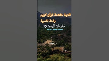 تلاوةخاشعة قرأن كريم راحة نفسية بصوت يريح قلبك #elmulquranعلم #تلاوة #قران_كريم #المصحف #trend