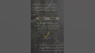تلاوة من سورة الأنعام || القارئ محمد زاهر البارقي