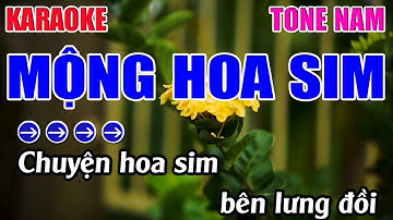 Mộng Hoa Sim Karaoke Tone Nam Karaoke 9999 - Beat Mới