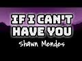 Shawn mendes  if i cant have you lyrics 