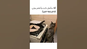 ميمز روعة V123 شورت ميمز 