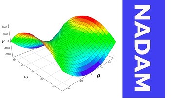 NADAM Optimizer from Scratch in Python