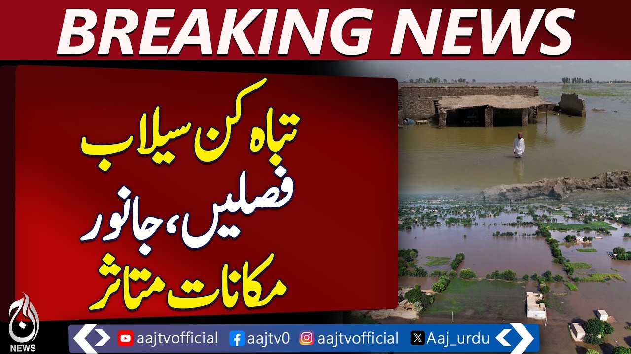 Punjab Floods 2025 | Crops, Livestock & Homes Destroyed - Pakistan news