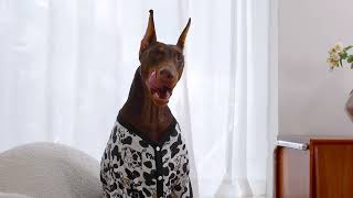 Cutebone Dog Pajamas For Your Big Dogs