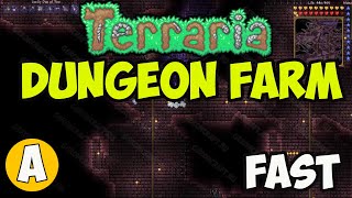 Terraria AFK Dungeon Farm (NO WIRES) | Terraria Dungeon farm 1.4.4.9