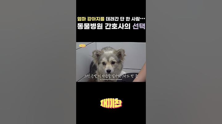 입양은 새끼가 아니라 엄마? 반전 감동 실화