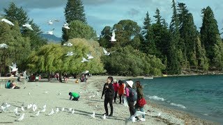 2018紐西蘭南島‧皇后鎮瓦卡蒂普湖(Lake Wakatipu)的湖光山色
