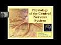 Special Physiology of CNS 1