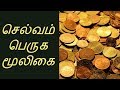 செல்வம் பெருக மூலிகை - Siththarkal Manthiram- Sithar- sithargal-siddhar-...