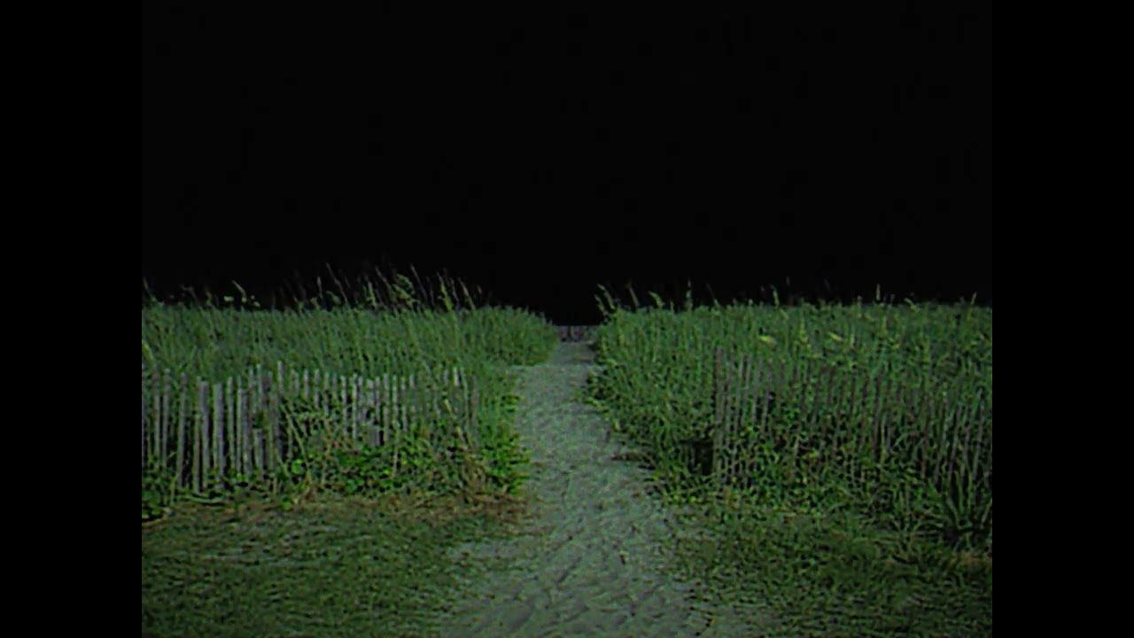 ‎ ‎