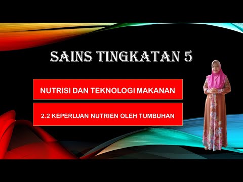 2 2 Sains T5