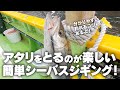 アタリをとるのが楽しい簡単シーバスジギング！【釣れるコツ付き】