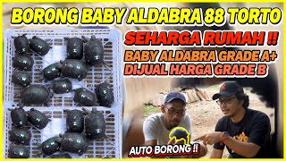 BORONG ALDABRA HABIS 1M ! AUTO TIDUR DI LUAR MALAM INI !!