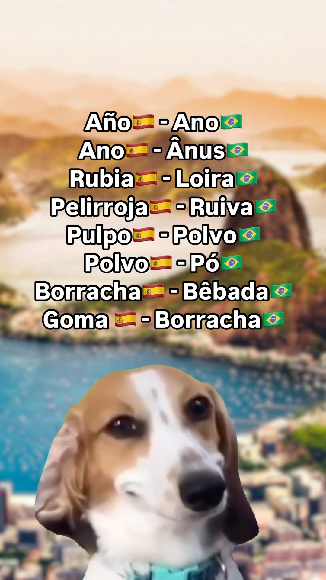Como pedir café em espanhol: solo, cortado e con leche