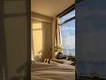 POV: waking up from your dream and you’re still living in one ☁️ #dreamlife #hawaii #aesthetic