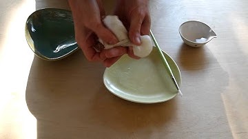 Twist and Squeeze: An easy way to strain wheat starch paste.AVI