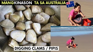 HARVESTING Clams/Pipis | DIGGING Clams In Australia