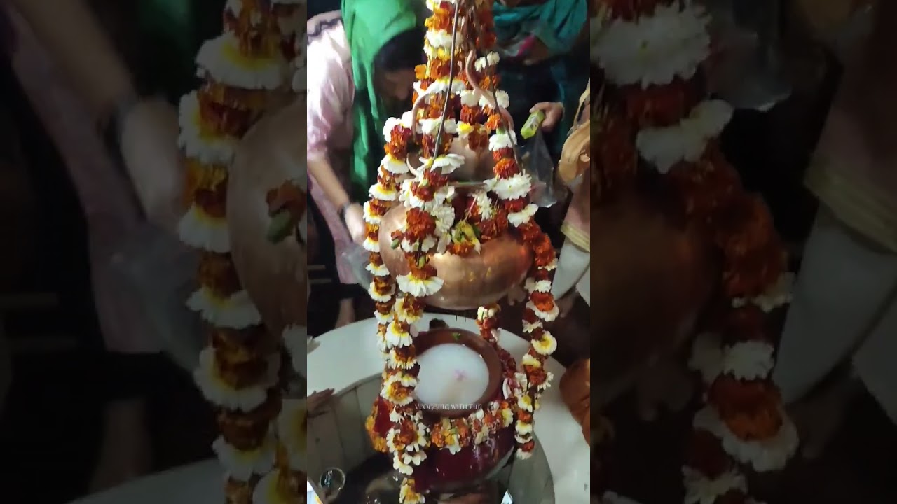 Mahashivratri Mini Vlog❤🙏 #shorts #youtubeshorts #mahashivratri2023 #minivlog #bholenath #shivratri