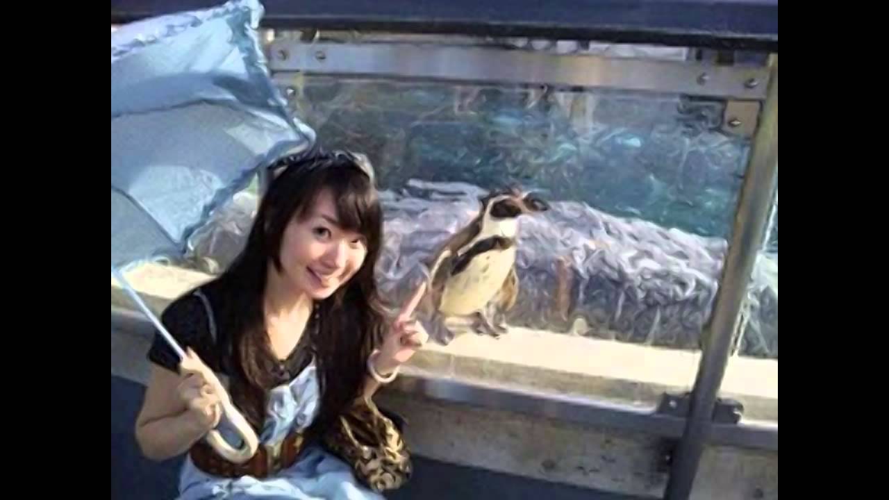 ダーリンプラスティック について水樹奈々が語る Youtube