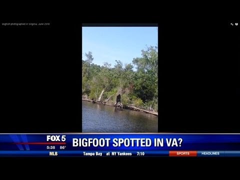 Vídeo: Bigfoot Fotografiado En Virginia Occidental - Vista Alternativa