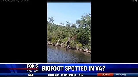 Bigfoot spotted in Virginia? | FOX 5 DC