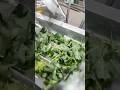 Vegetable Processing Line|| #viral#trending