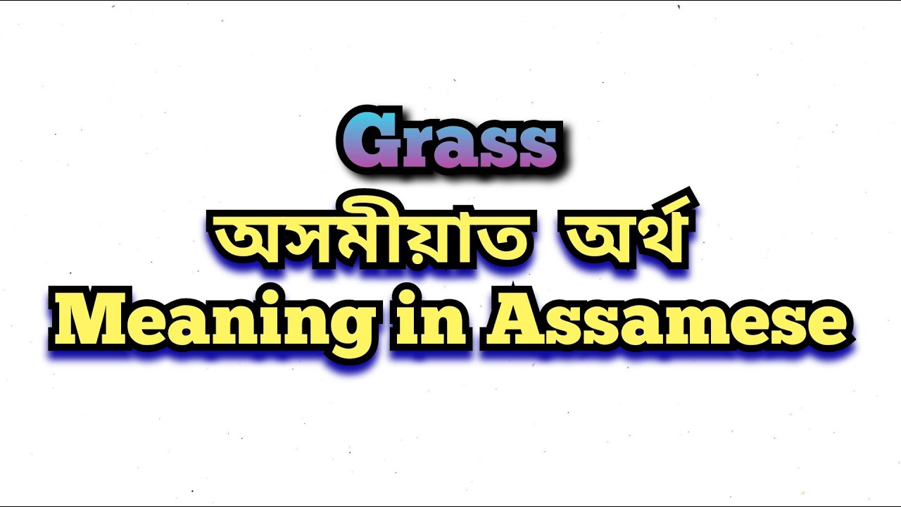 grass-meaning-in-assamese-grass-grass-mane-ki-youtube