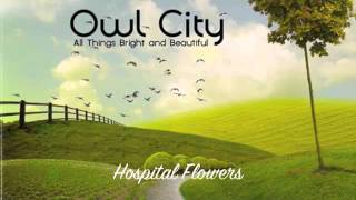 Owl City Hospital Flowers