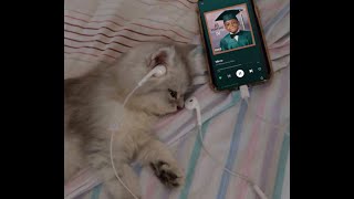 mirror -lil wayne (sped up)