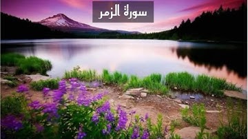 (إنا أنزلنا عليك الكتاب للناس بالحق) سورة الزمر القارئ أحمد اللحدان