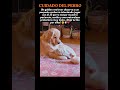 🥰🐶 Cuidado del Perro #PuppyLove #DogFriendship #CutePuppy #AnimalBond #Heartwarming #PetLove