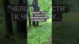 МАГ, КОЛДУН ОТЛИЧАЕТСЯ ОТ ОБЫВАТЕЛЯ #магияналичнойсиле #духовноеразвитие  #человек #человечность