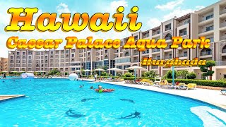 Hawaii Caesar Palace Aqua Park 5*, Hurghada EG